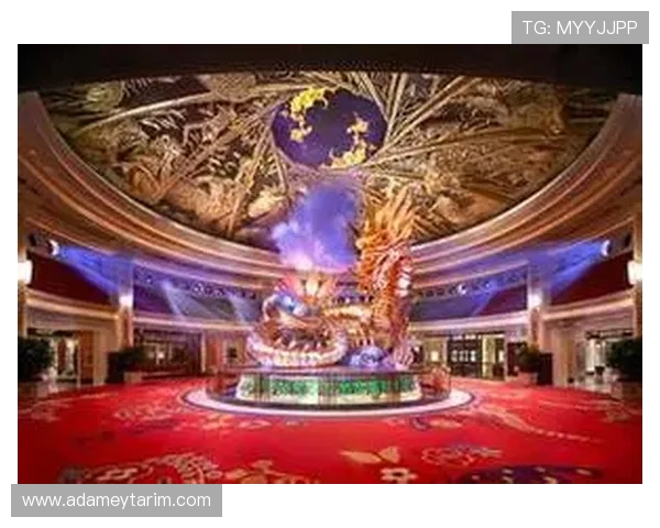 澳门的娱乐场所：夜生活丰富多彩的娱乐场所有哪些值得一试