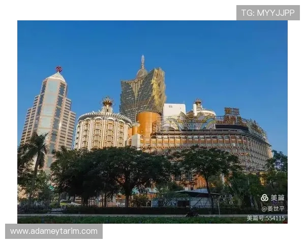 澳门金碧汇彩详细地址和周边环境介绍