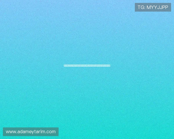 深入分析世界杯巴西海地小组排名变化趋势预测未来晋级形势与关键比赛