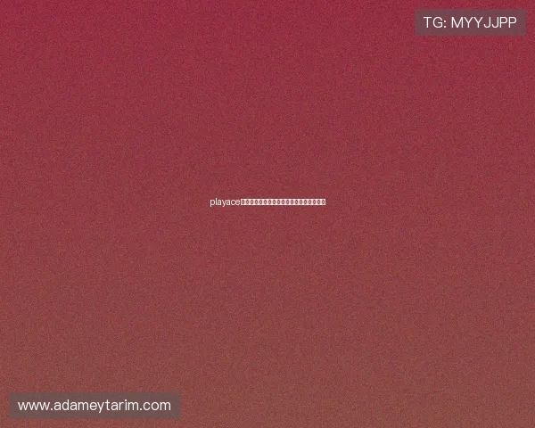 playace官方网站最新优惠活动及促销活动全面推荐