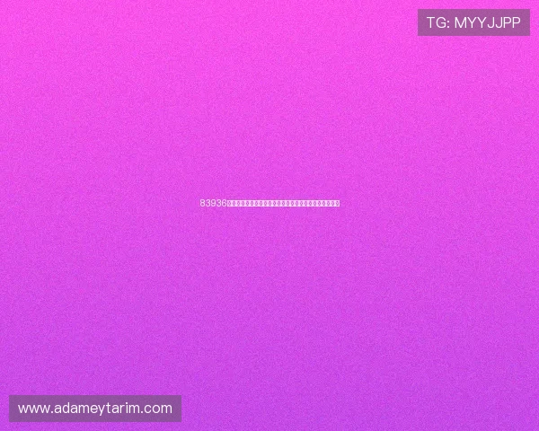 83936威尼斯下载：足球迷必看世界杯精彩瞬间集锦与赛事亮点